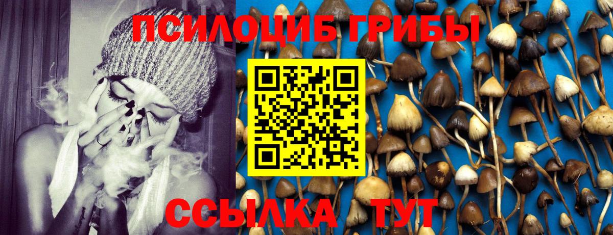 Галлюциногенные грибы прущие грибы  Вход с VPN  Псилоцибиновые грибы Cubensis  Славгород 